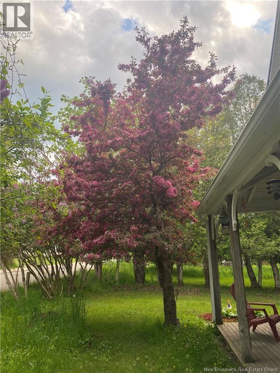 31 Dutch Point Road, Hampton, New Brunswick  E5N 5Y9 - Photo 4 - NB137584