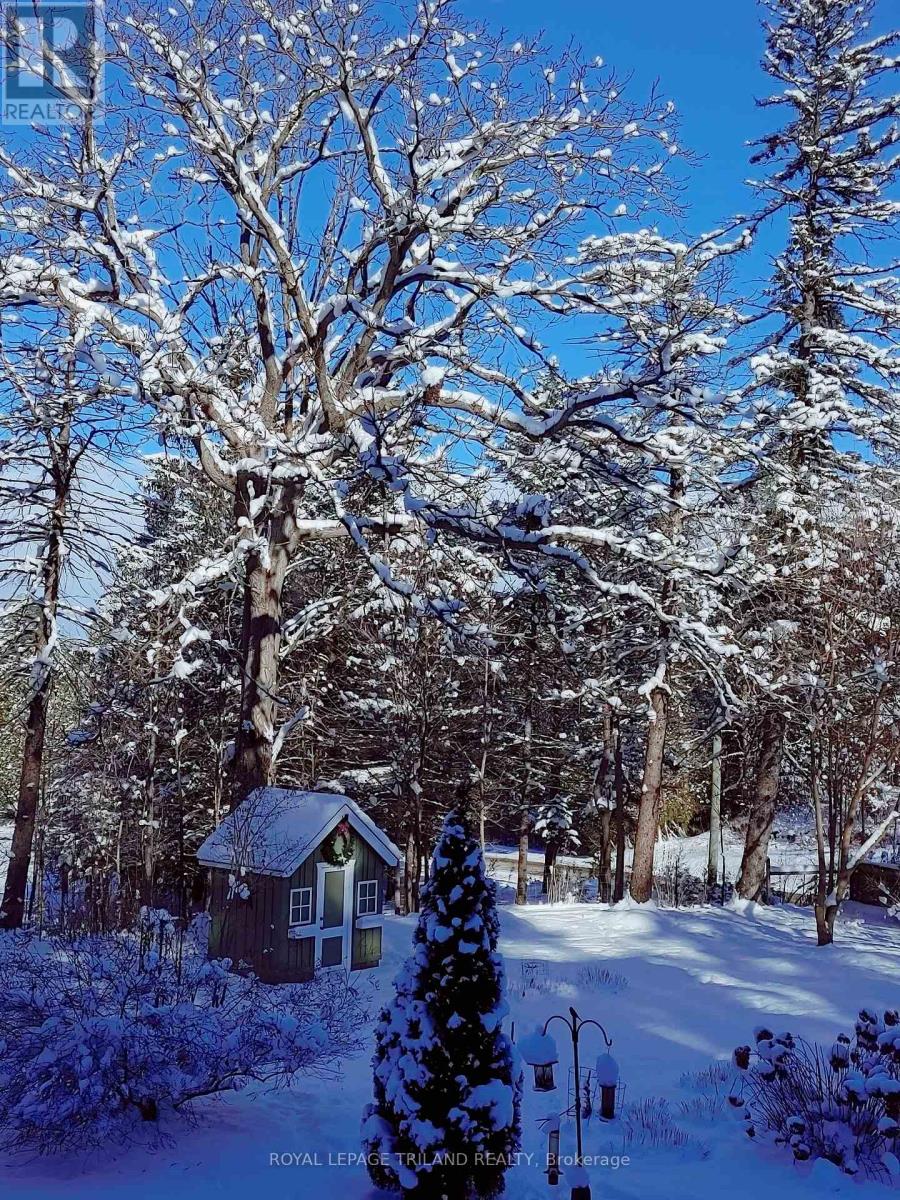 32153 Sylvan Road, North Middlesex, Ontario  N0M 2K0 - Photo 44 - X13017820