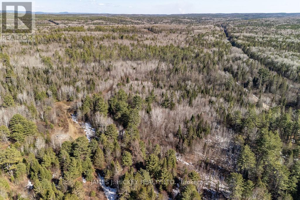 38589 Hwy 17 Highway, Head, Ontario  K0J 2B0 - Photo 20 - X13014352