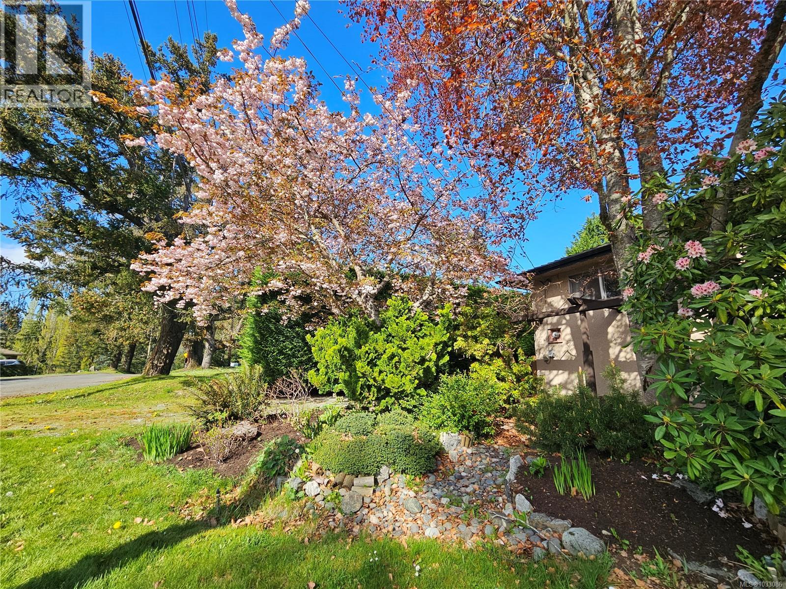 1288 Roy Rd, Saanich, British Columbia  V8Z 2X9 - Photo 9 - 1033086