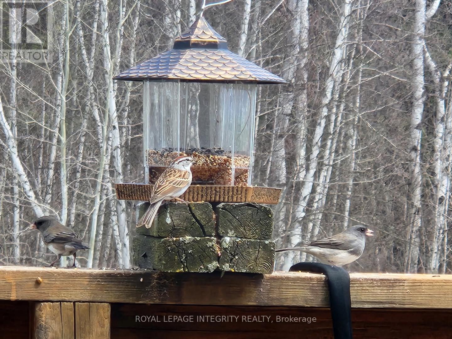 53 Beaver Lane, The Nation, Ontario  K0A 2M0 - Photo 25 - X13023780