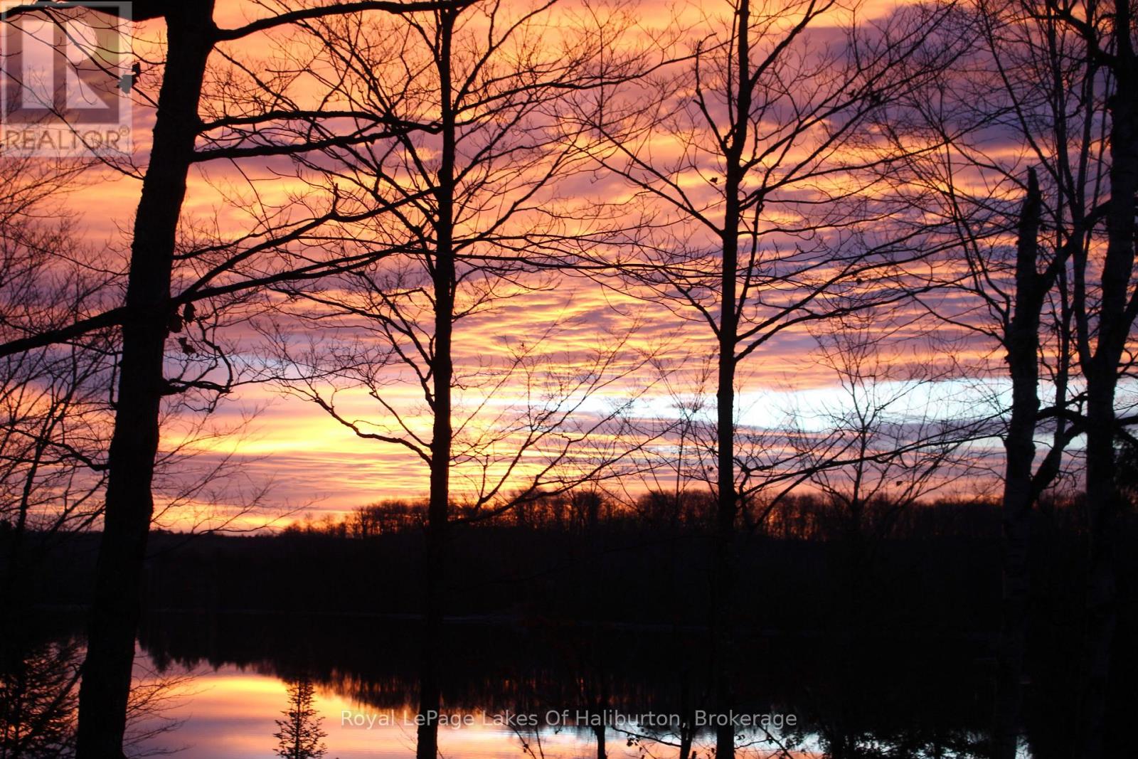 127 Russell Drive, Trent Lakes, Ontario  K0M 2A0 - Photo 6 - X13034038