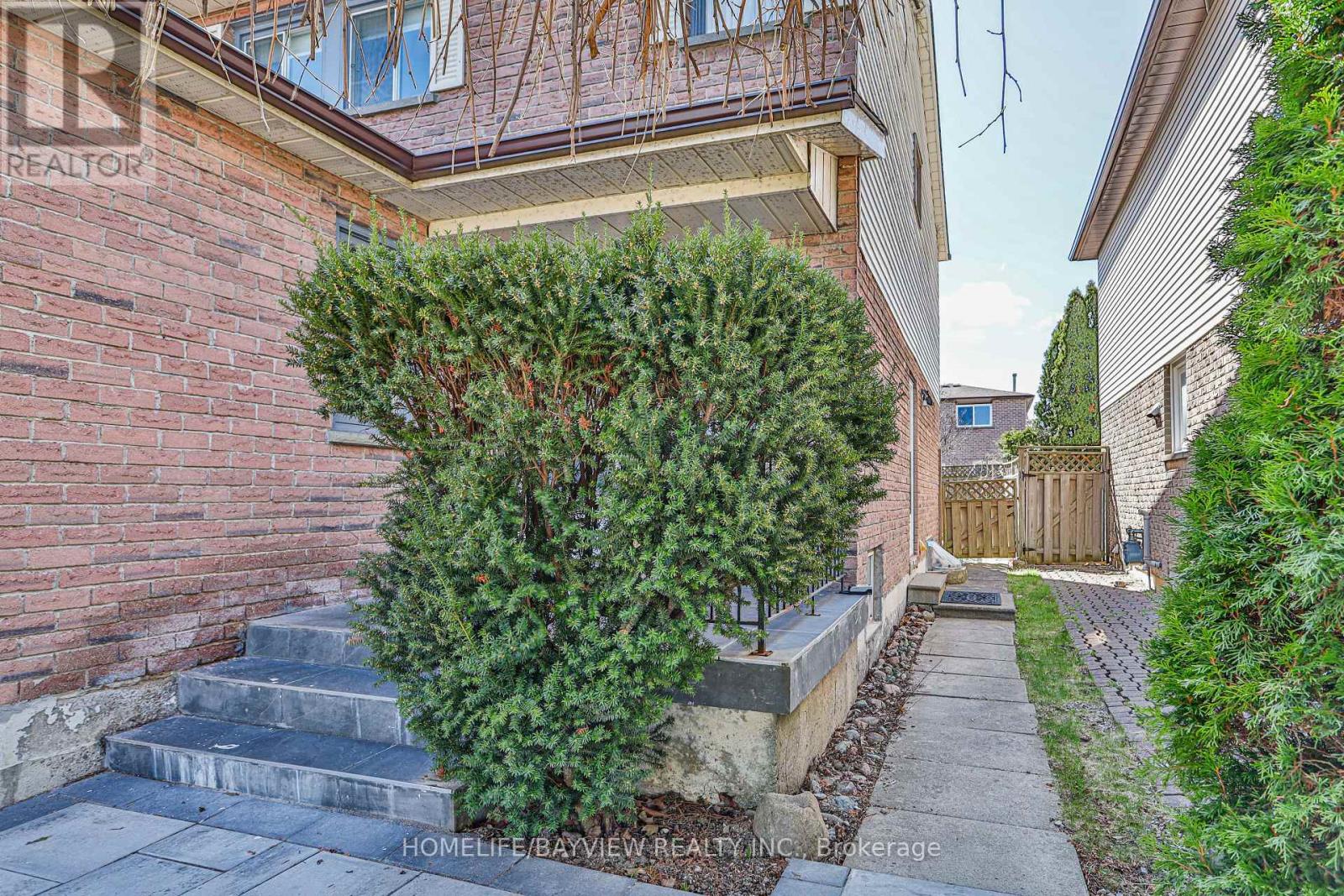 Basement - 35 Constellation Crescent, Richmond Hill, Ontario  L4C 8J8 - Photo 6 - N13033990