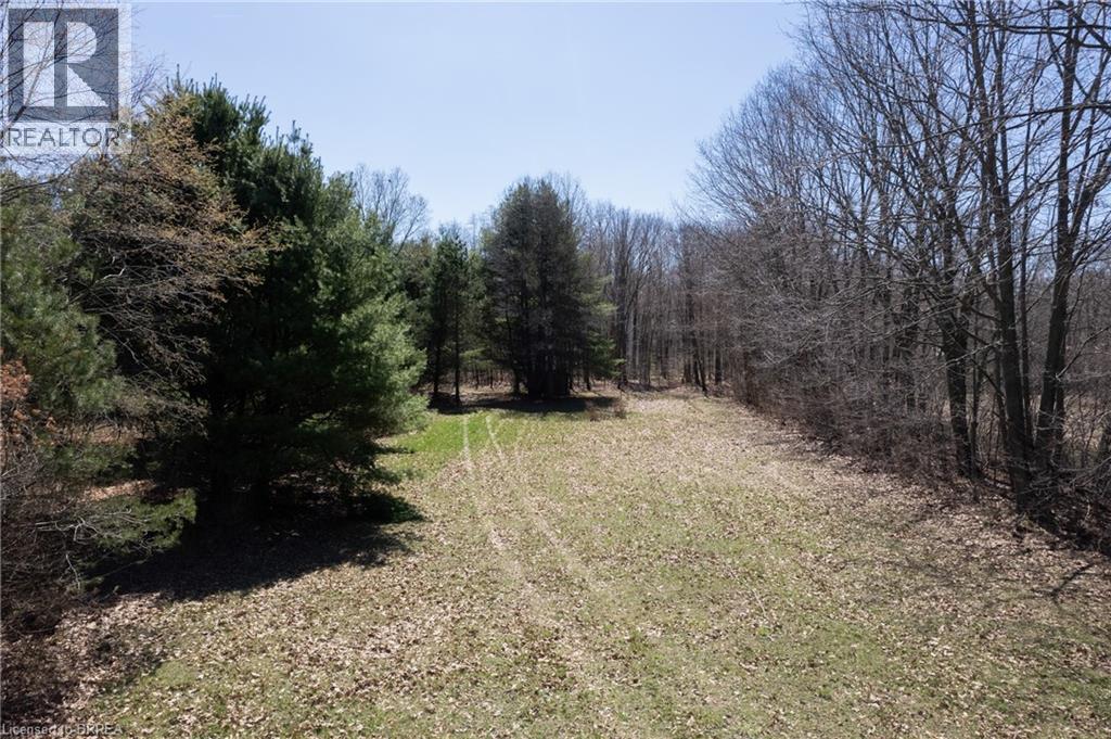 57049 Light Line, Vienna, Ontario  N0J 1Z0 - Photo 7 - 40823015