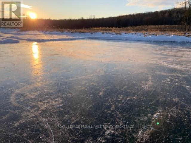 727 Aylmer Crescent, Kingston, Ontario  K7M 6E5 - Photo 40 - X13034058