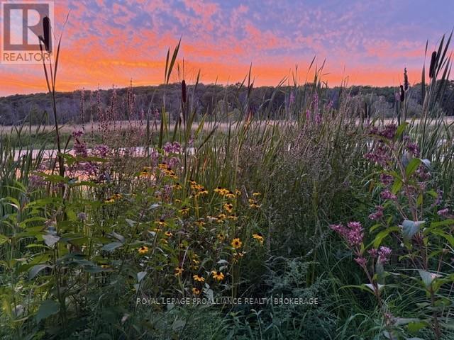 727 Aylmer Crescent, Kingston, Ontario  K7M 6E5 - Photo 41 - X13034058