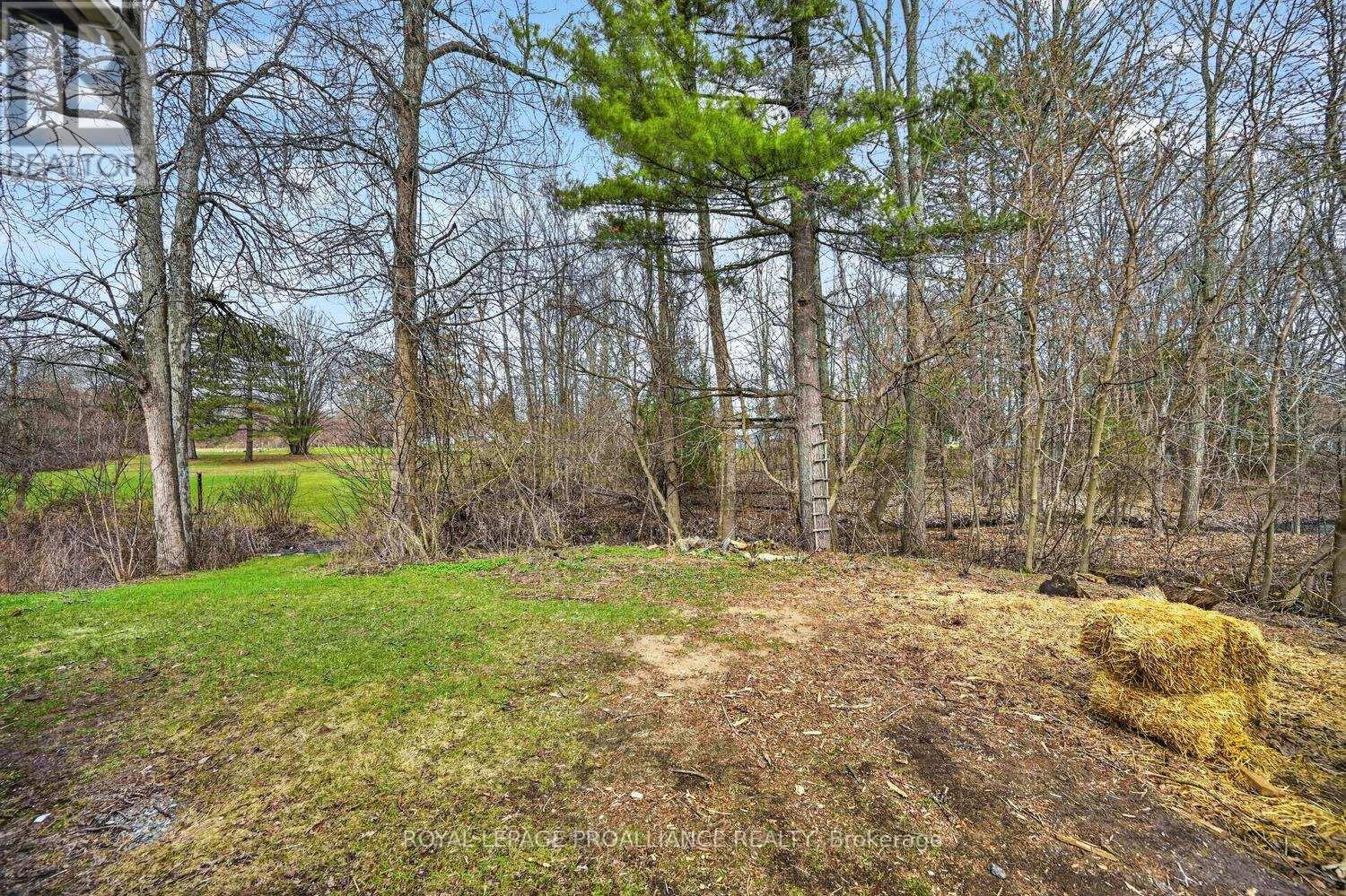 8100 Amelia Street, Augusta, Ontario  K0G 1R0 - Photo 33 - X13034120