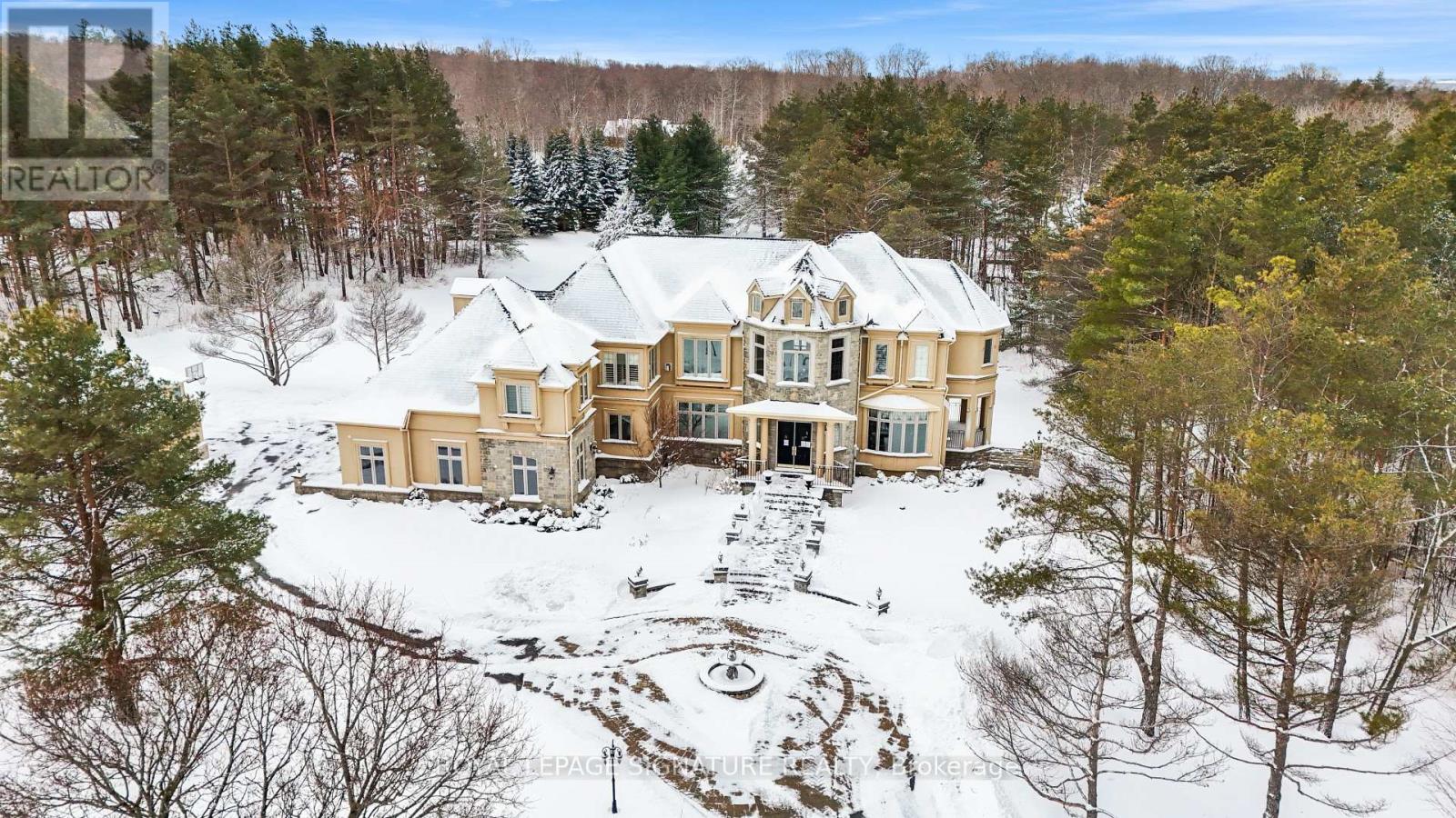 8 Elia Drive, Whitchurch-Stouffville, Ontario  L4A 7X5 - Photo 40 - N13034210