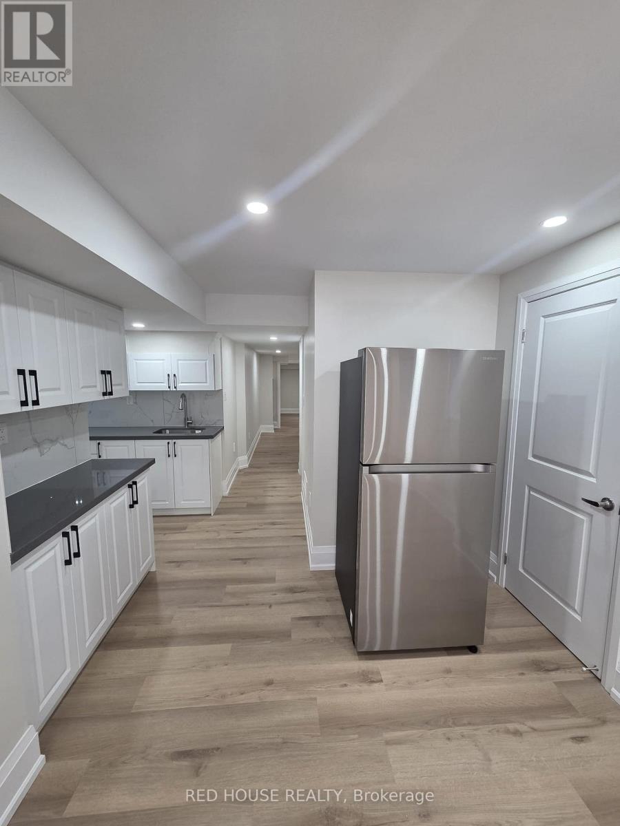 Basement - 1414 Wellwood Terrace, Milton, Ontario  L9E 1V1 - Photo 13 - W13034072