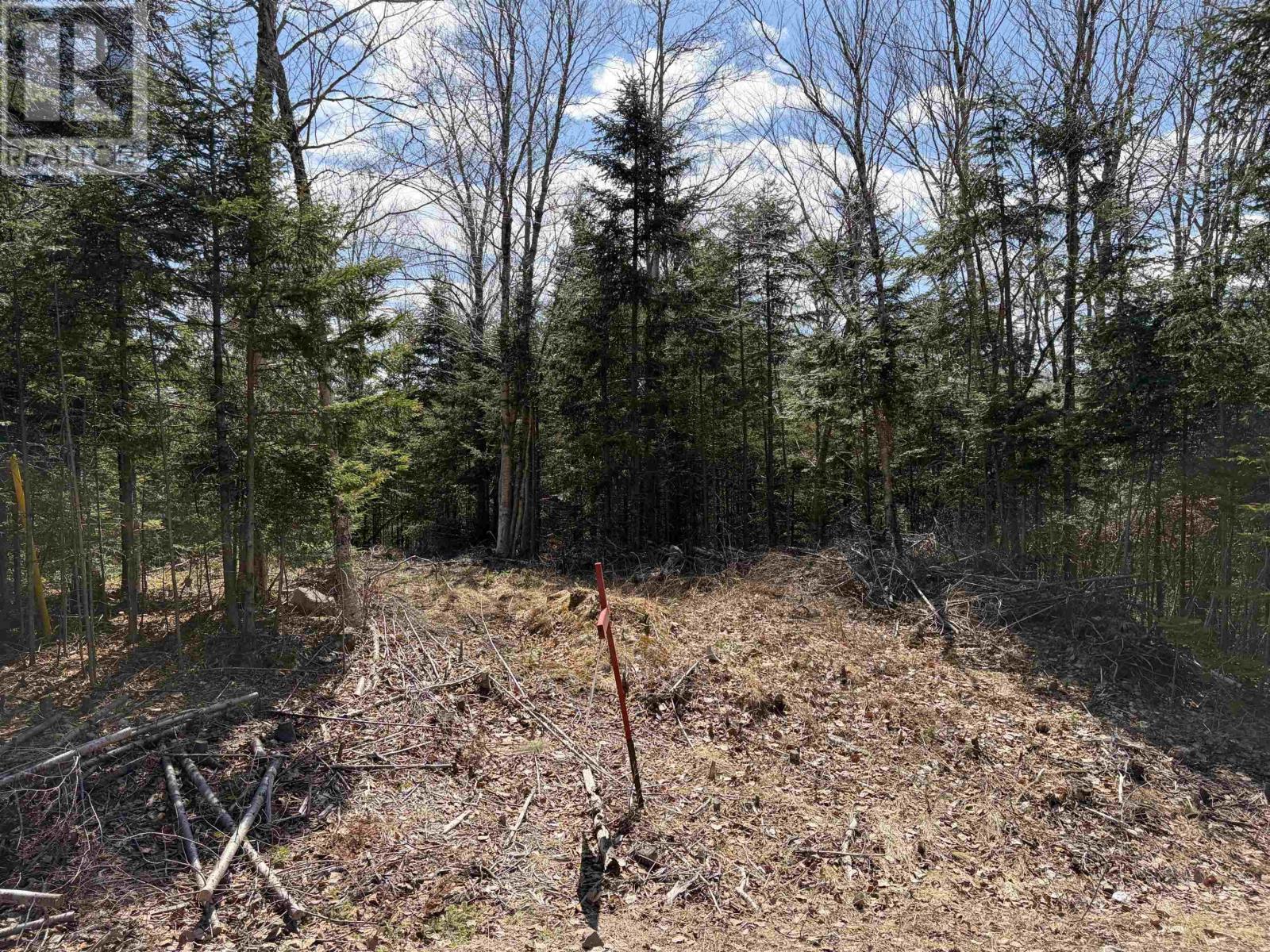 Gm25-1 Charmac Road, Valley, Nova Scotia  B6L 3E4 - Photo 1 - 202602150