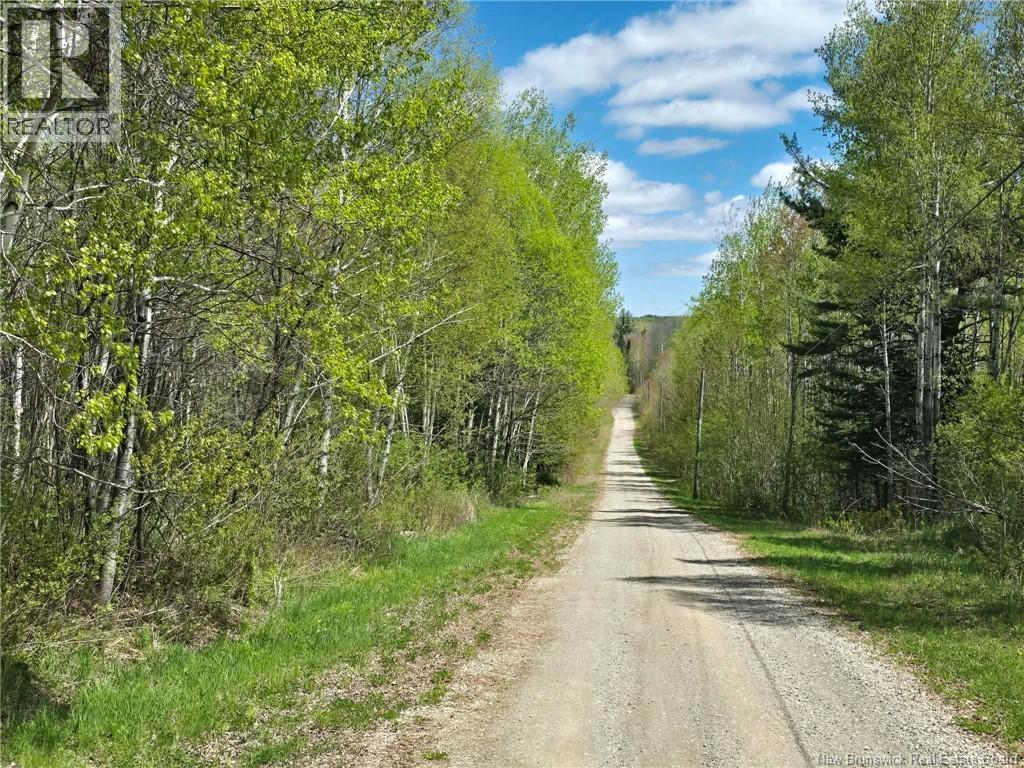 Lorem Ipsum Dolor, Big River, New Brunswick  E2A  - Photo 48 - DEMO29541589
