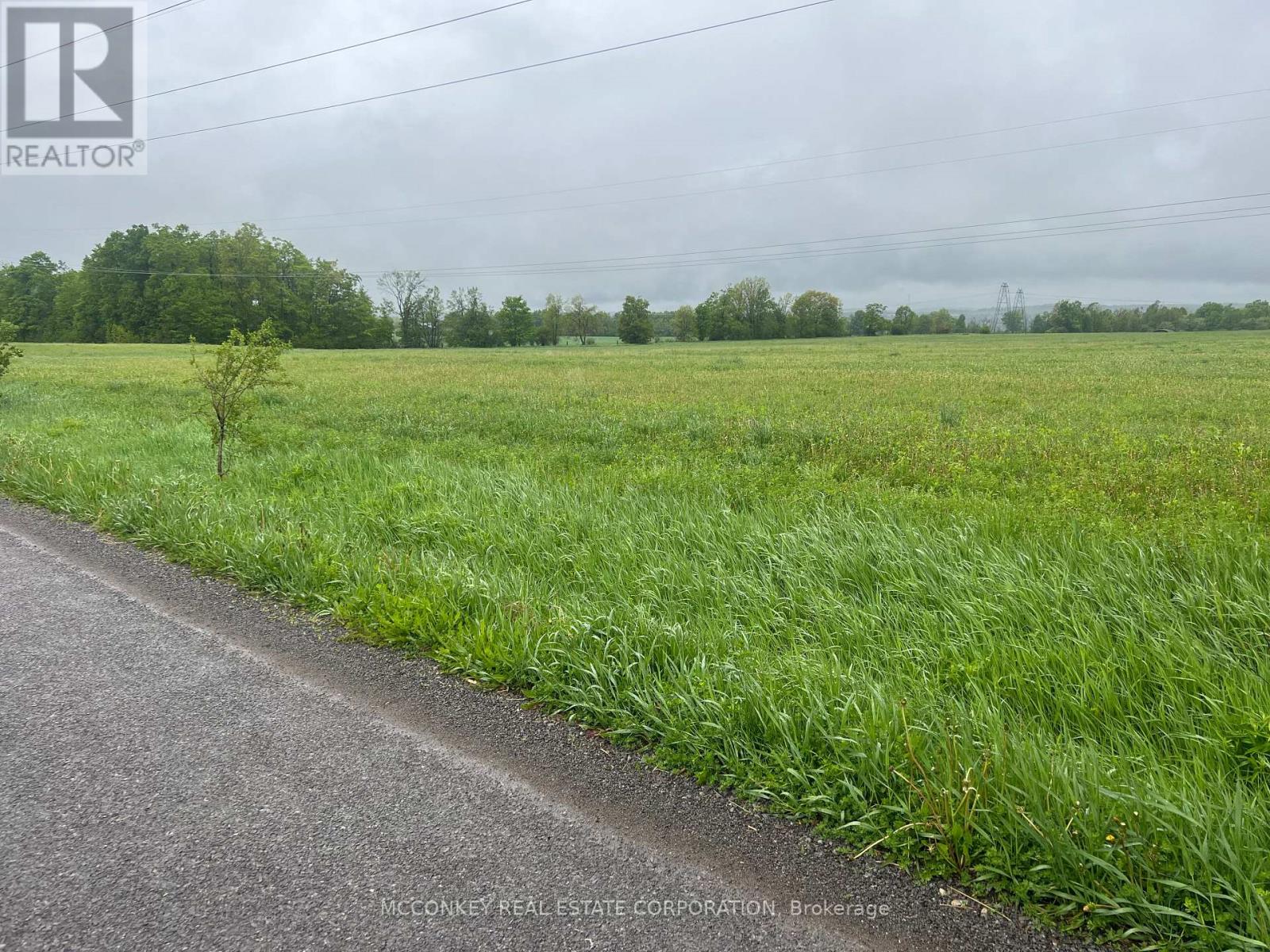 1020 Larmer Line, Cavan Monaghan, Ontario  K0L 1V0 - Photo 2 - X13034588