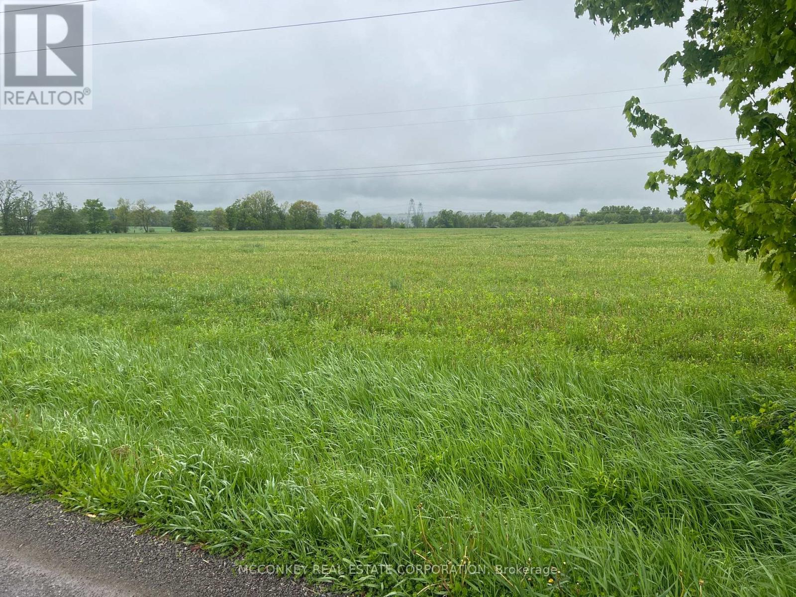 1020 Larmer Line, Cavan Monaghan, Ontario  K0L 1V0 - Photo 3 - X13034588