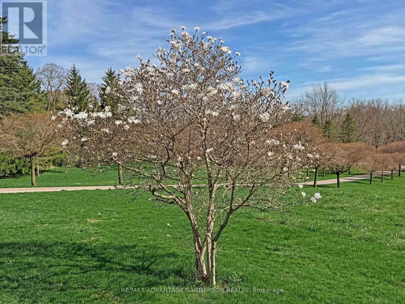 15060 Nine Mile Road, Middlesex Centre, Ontario  N0M 2A0 - Photo 27 - X13034356