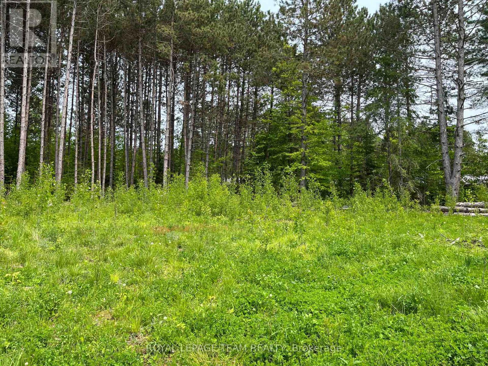 18500 Highway 60 Highway, Madawaska Valley, Ontario  K0J 1B0 - Photo 3 - X13034654