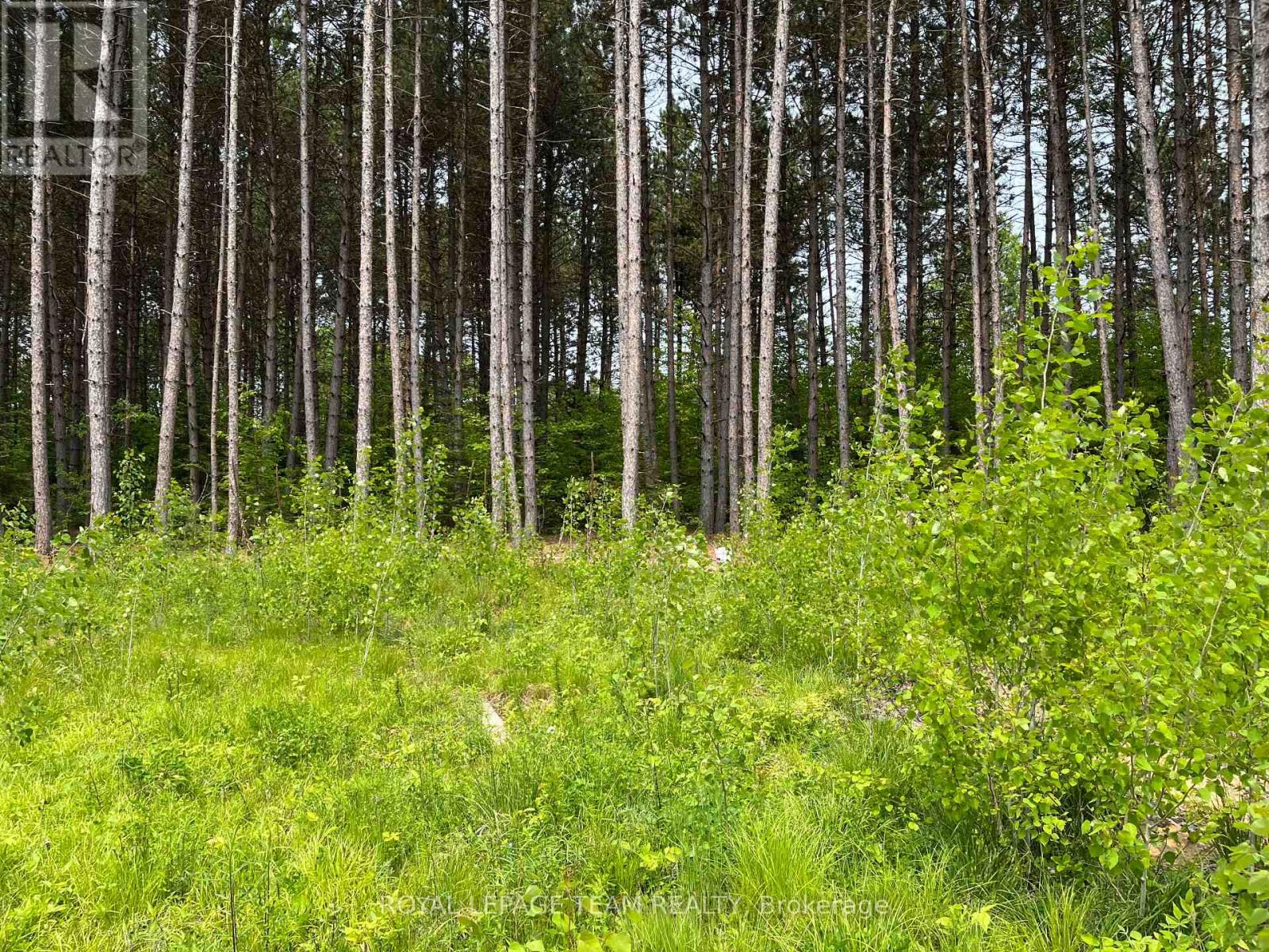 18500 Highway 60 Highway, Madawaska Valley, Ontario  K0J 1B0 - Photo 4 - X13034654