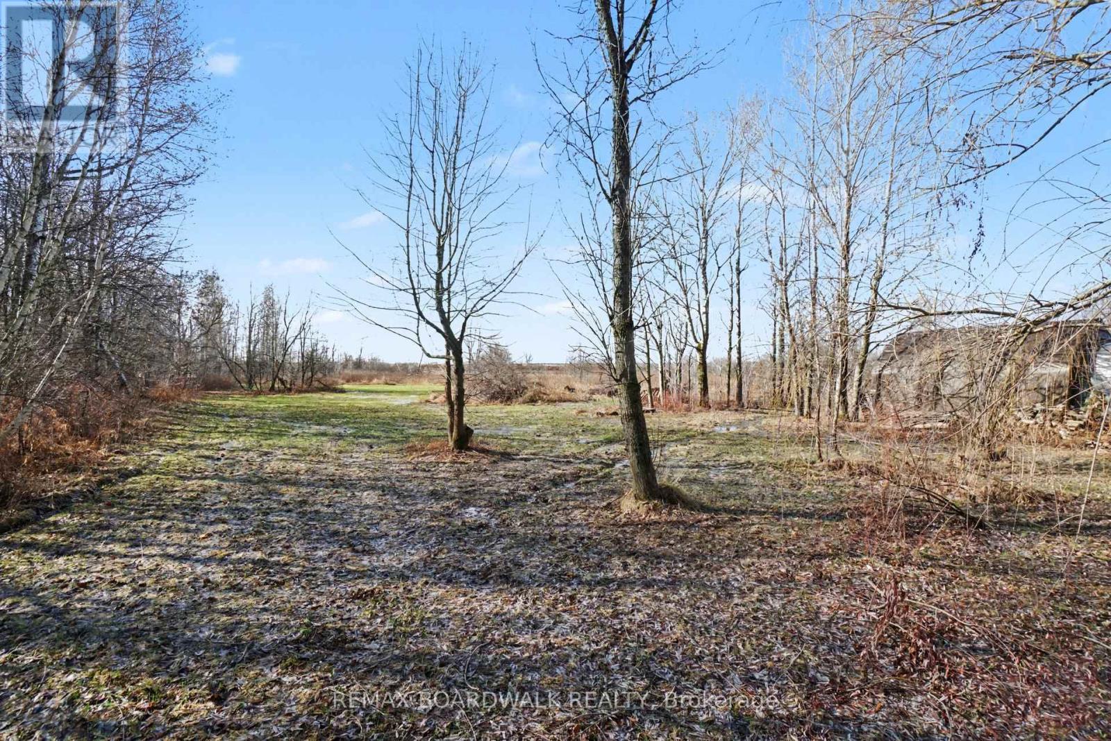 2364 Concession 9 Road, Alfred And Plantagenet, Ontario  K0B 1C0 - Photo 6 - X13032658