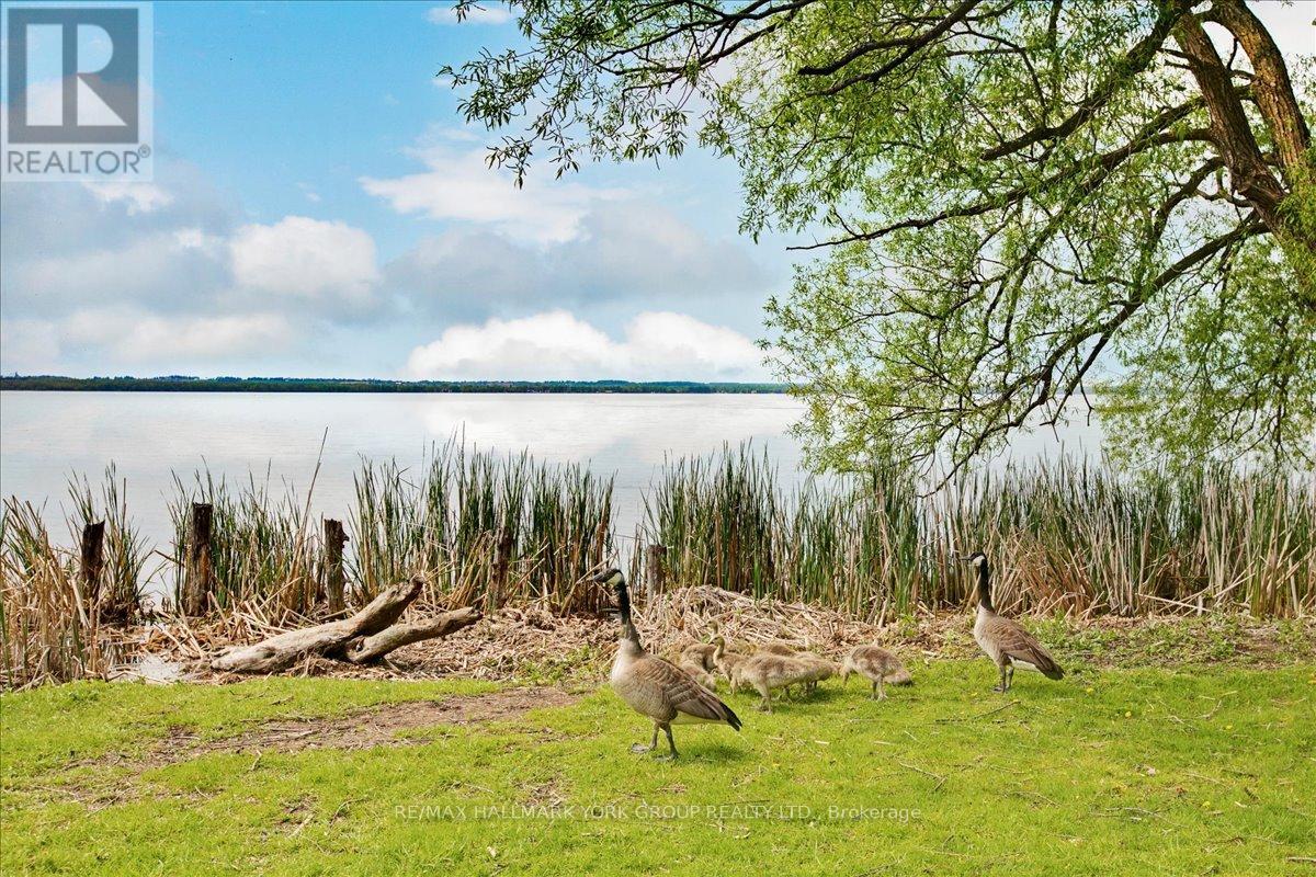 341 Pasadena Drive, Georgina, Ontario  L4P 2Z2 - Photo 37 - N13034436