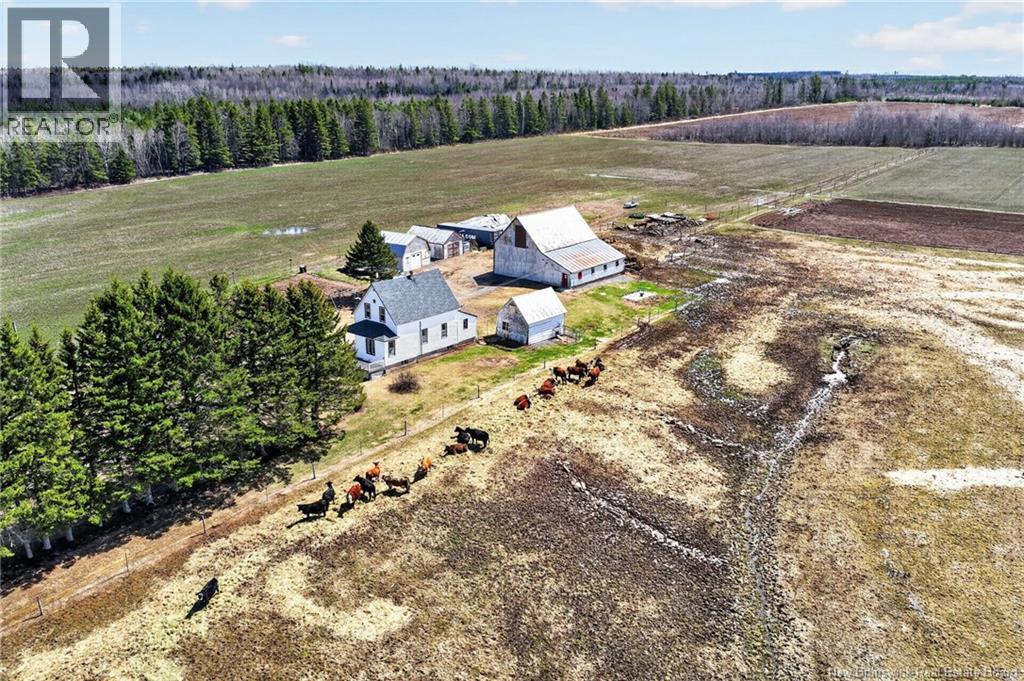 1210 Emmerson Road, Beersville, New Brunswick  E4T 2M5 - Photo 1 - NB137794