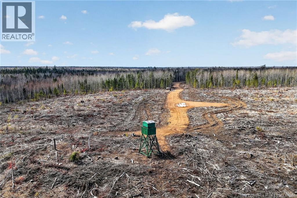 1210 Emmerson Road, Beersville, New Brunswick  E4T 2M5 - Photo 11 - NB137794