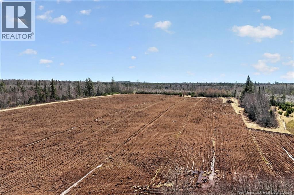 1210 Emmerson Road, Beersville, New Brunswick  E4T 2M5 - Photo 6 - NB137794