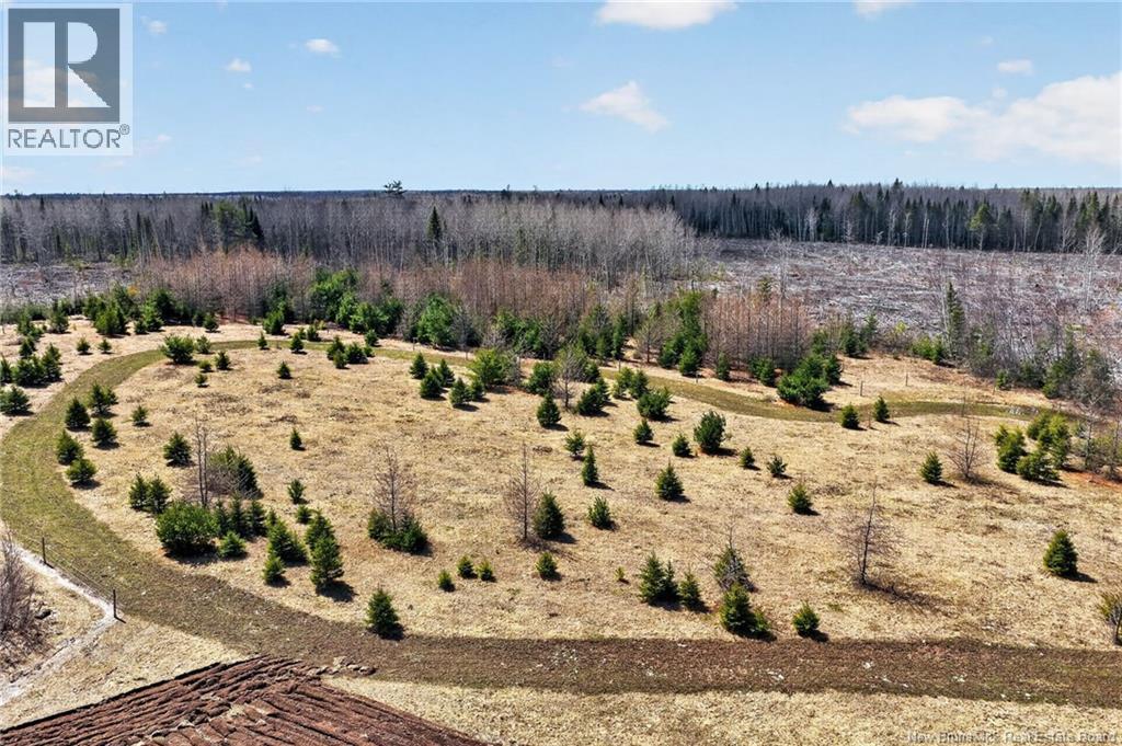 1210 Emmerson Road, Beersville, New Brunswick  E4T 2M5 - Photo 9 - NB137794