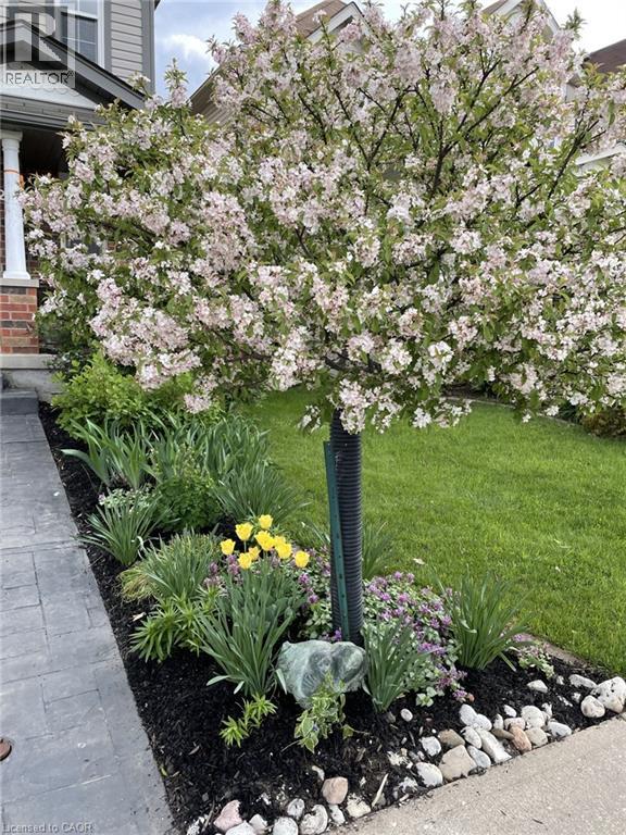 126 Snowdrop Crescent, Kitchener, Ontario  N2E 4G7 - Photo 36 - 40823539