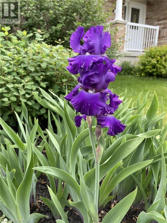 126 Snowdrop Crescent, Kitchener, Ontario  N2E 4G7 - Photo 37 - 40823539