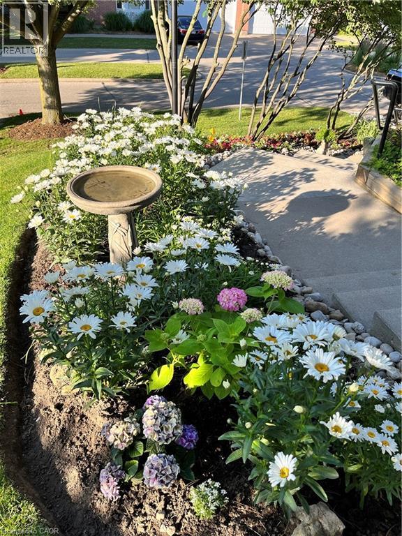 341 George Street N Unit# 4, Cambridge, Ontario  N1S 4X7 - Photo 41 - 40822331