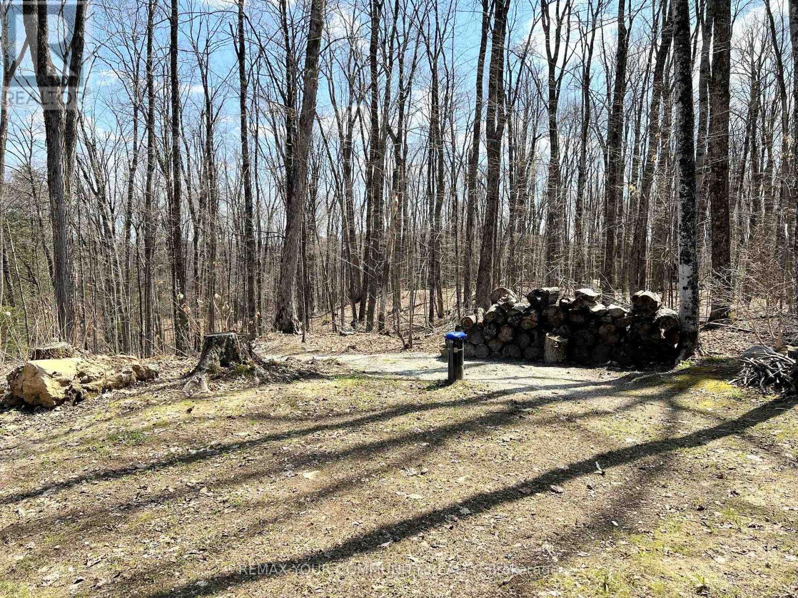 1534 Salerno Lake Road, Highlands East, Ontario  K0M 1X0 - Photo 25 - X13034492