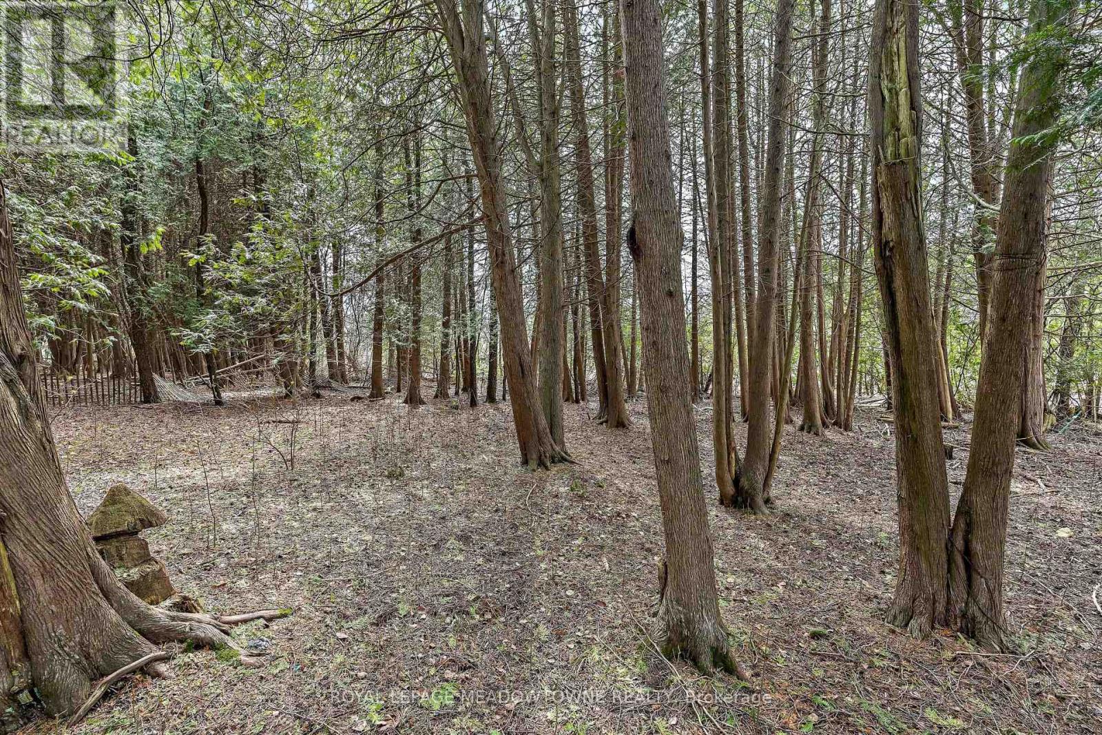 4 Laurel Lane, Erin, Ontario  N0B 1T0 - Photo 28 - X13034676