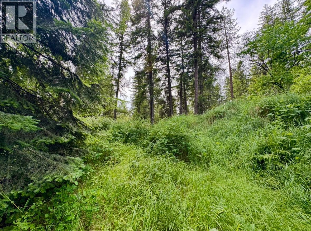 Corra Linn Road Lot# 41 & 41a, Bonnington, British Columbia  V0G 2G3 - Photo 7 - 10384149