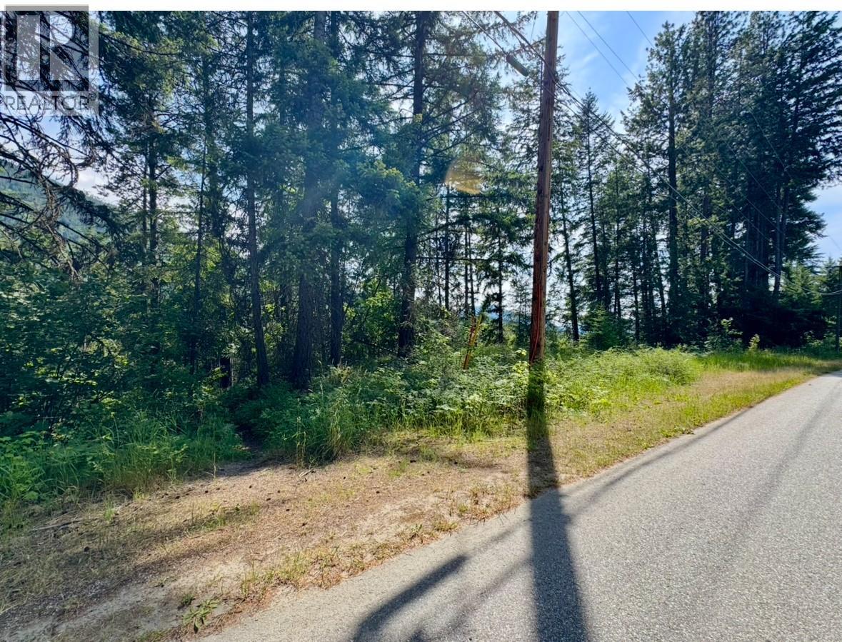 Corra Linn Road Lot# 41 & 41a, Bonnington, British Columbia  V0G 2G3 - Photo 22 - 10384149