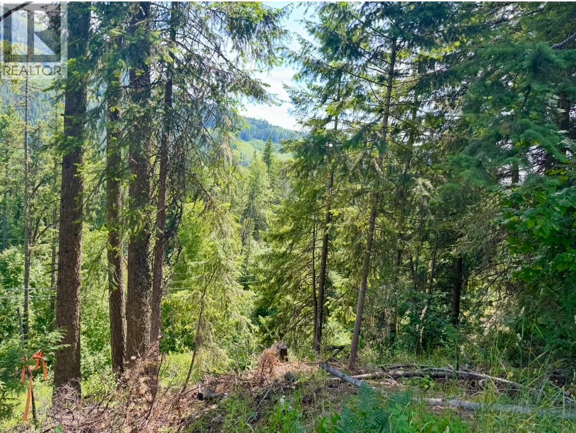 Corra Linn Road Lot# 41 & 41a, Bonnington, British Columbia  V0G 2G3 - Photo 10 - 10384149