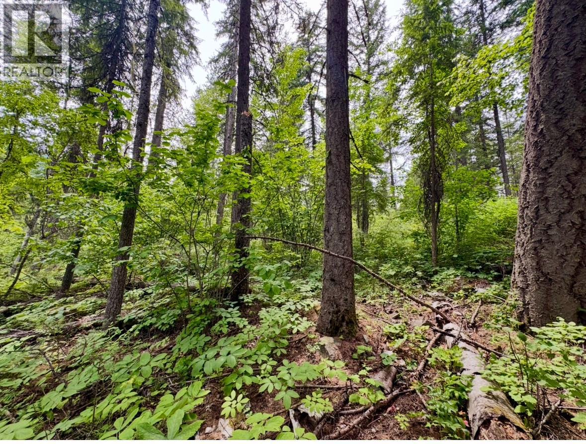 Corra Linn Road Lot# 41 & 41a, Bonnington, British Columbia  V0G 2G3 - Photo 9 - 10384149