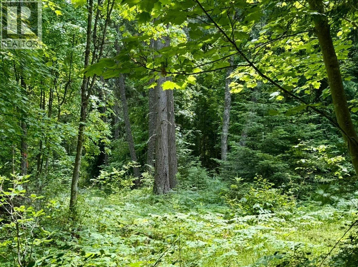 Corra Linn Road Lot# 41 & 41a, Bonnington, British Columbia  V0G 2G3 - Photo 29 - 10384149