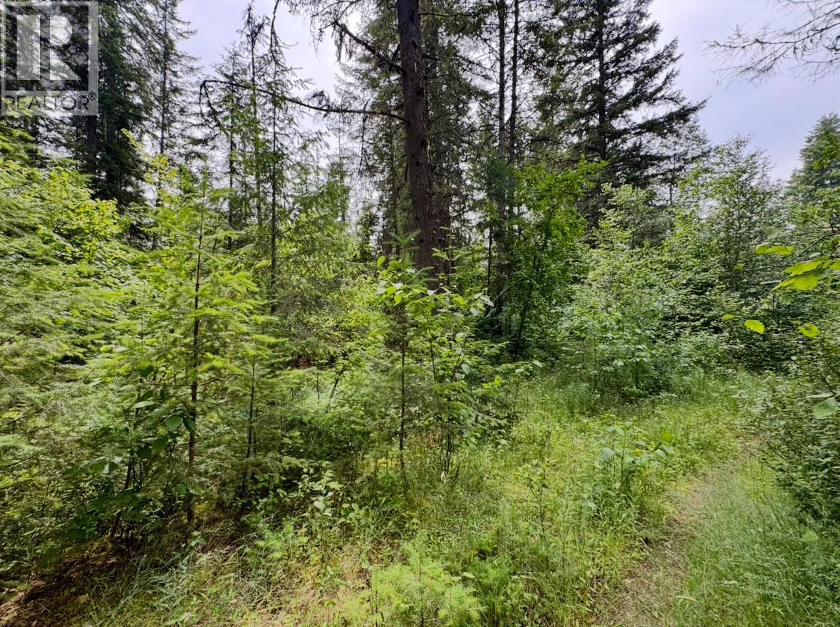 Corra Linn Road Lot# 41 & 41a, Bonnington, British Columbia  V0G 2G3 - Photo 26 - 10384149