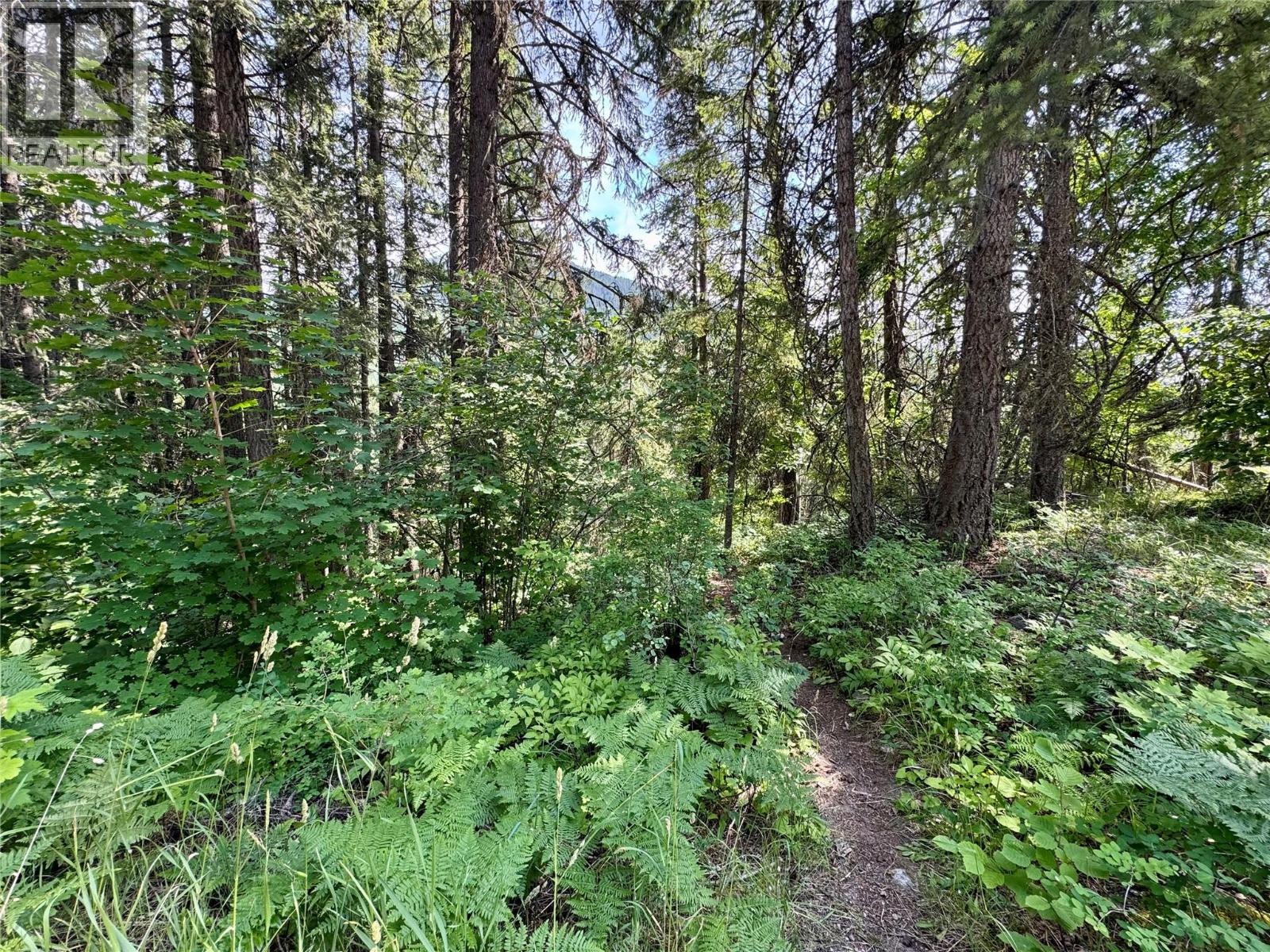 Corra Linn Road Lot# 41 & 41a, Bonnington, British Columbia  V0G 2G3 - Photo 6 - 10384149