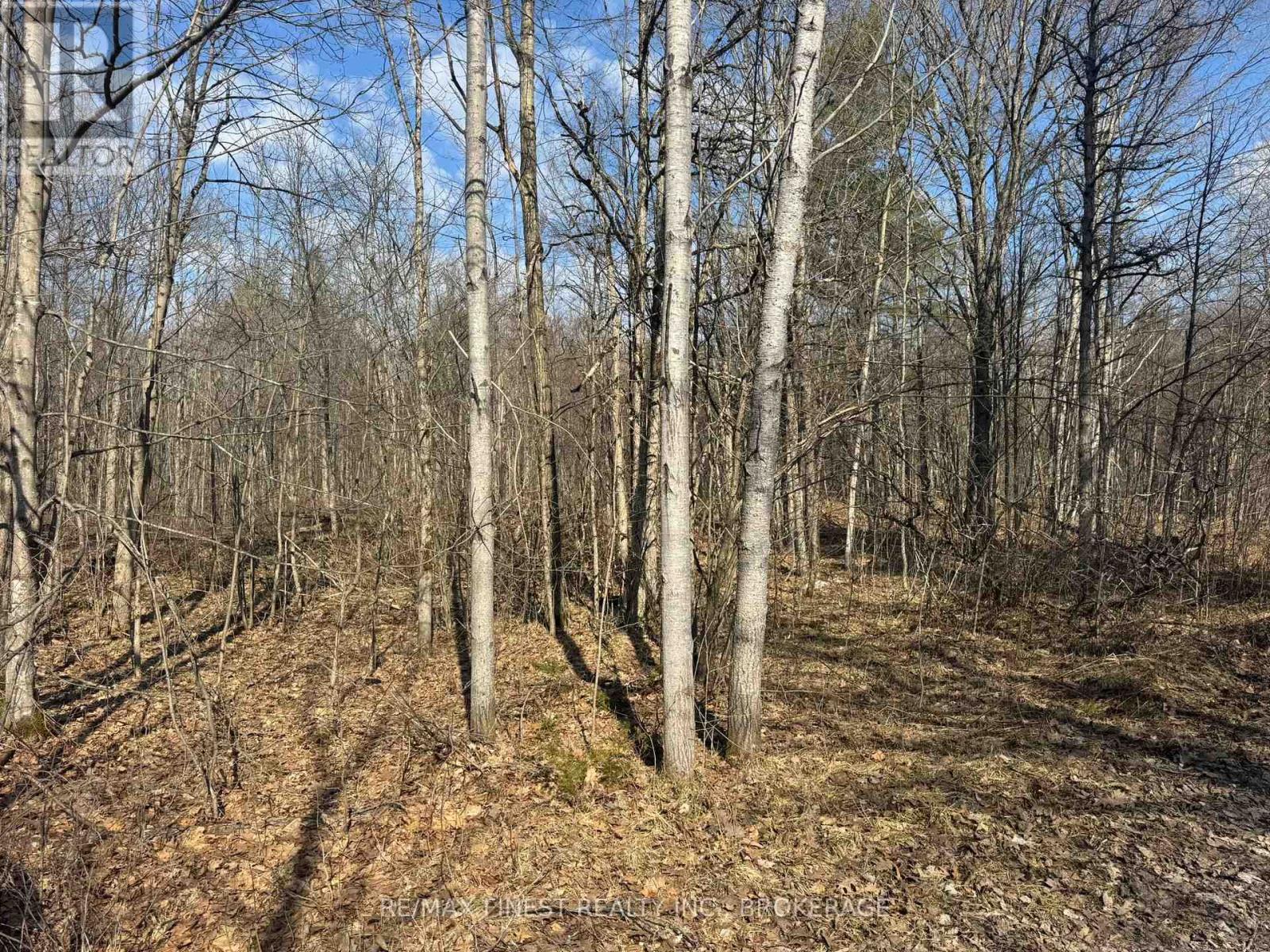 0 CALIFORNIA ROAD, Stone Mills, Ontario