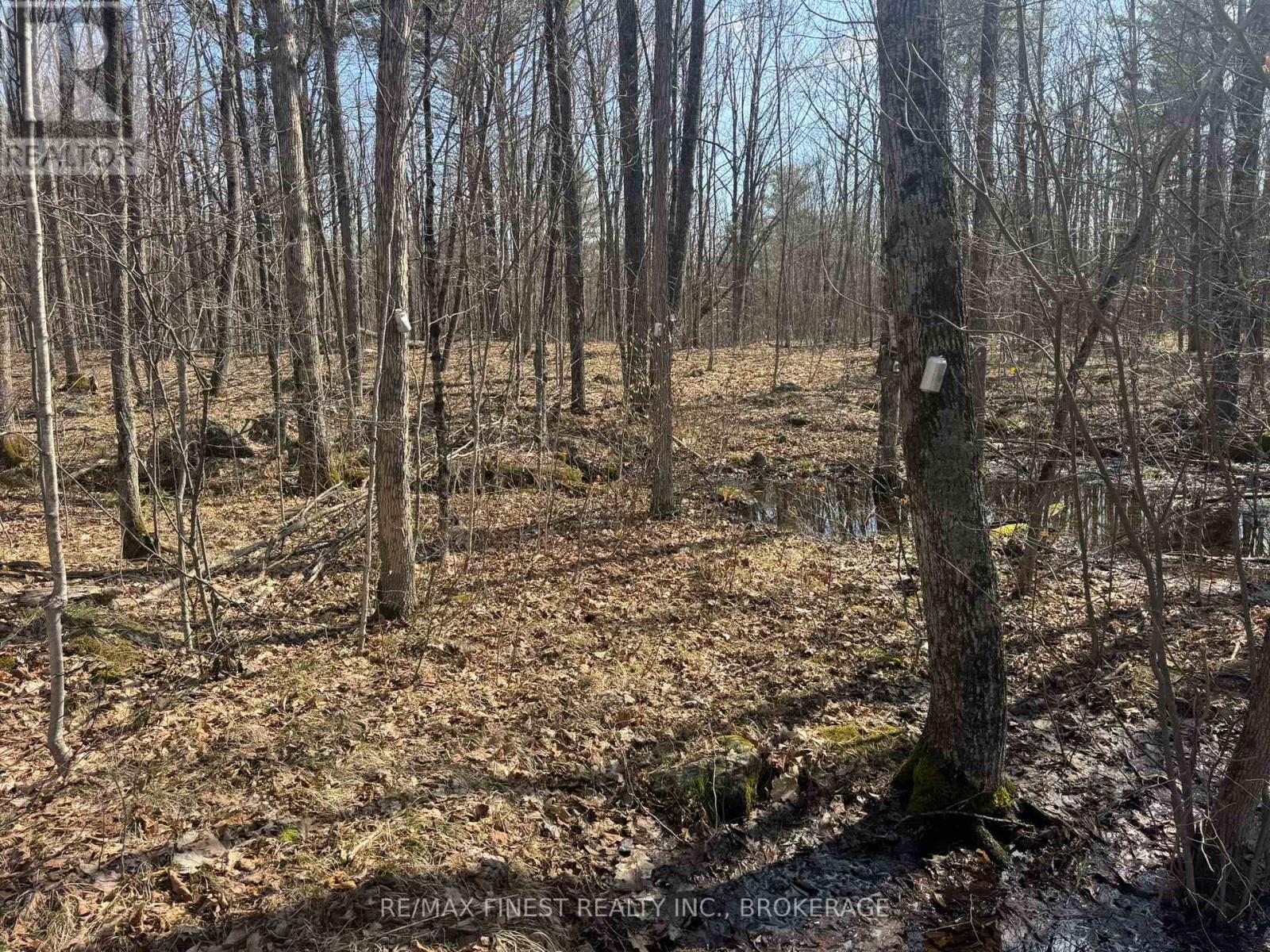 0 California Road, Stone Mills, Ontario  K0K 1Z0 - Photo 2 - X13034840