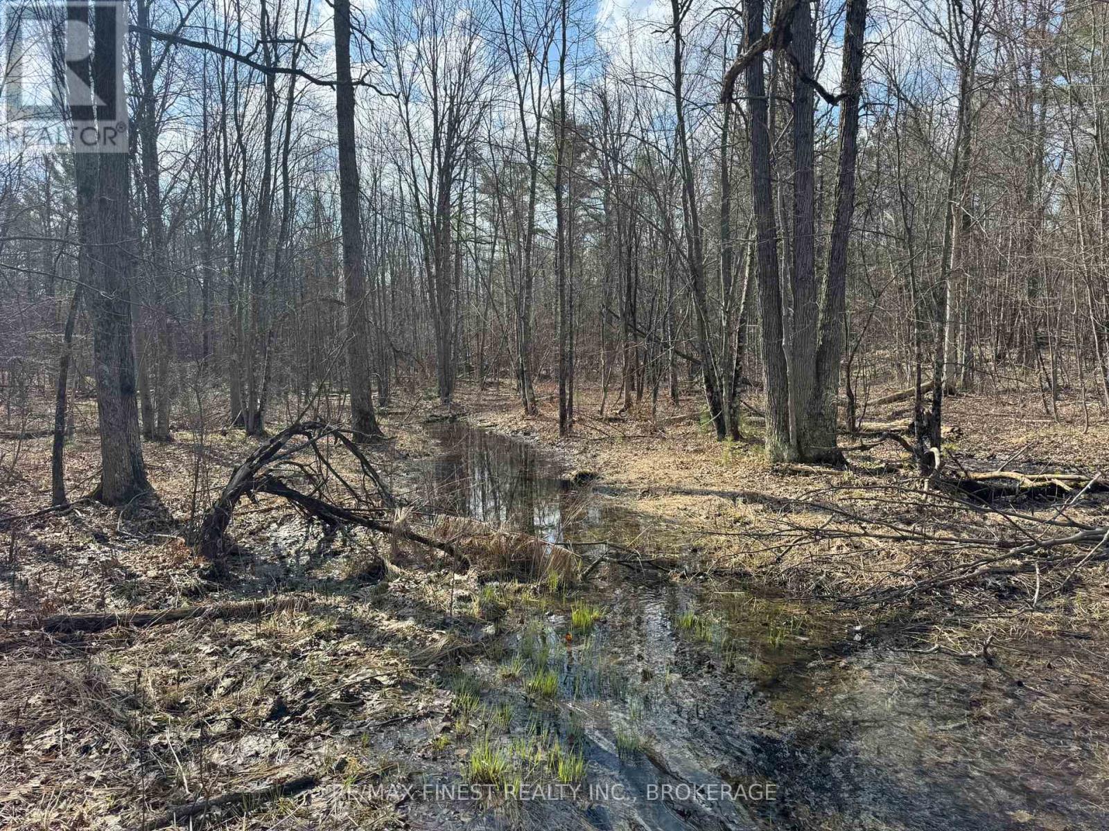 0 California Road, Stone Mills, Ontario  K0K 1Z0 - Photo 3 - X13034840