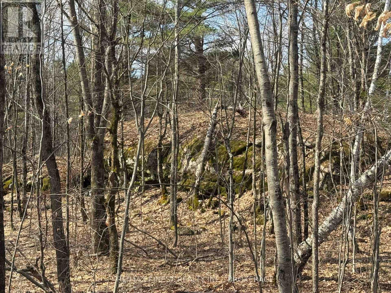 0 California Road, Stone Mills, Ontario  K0K 1Z0 - Photo 4 - X13034840