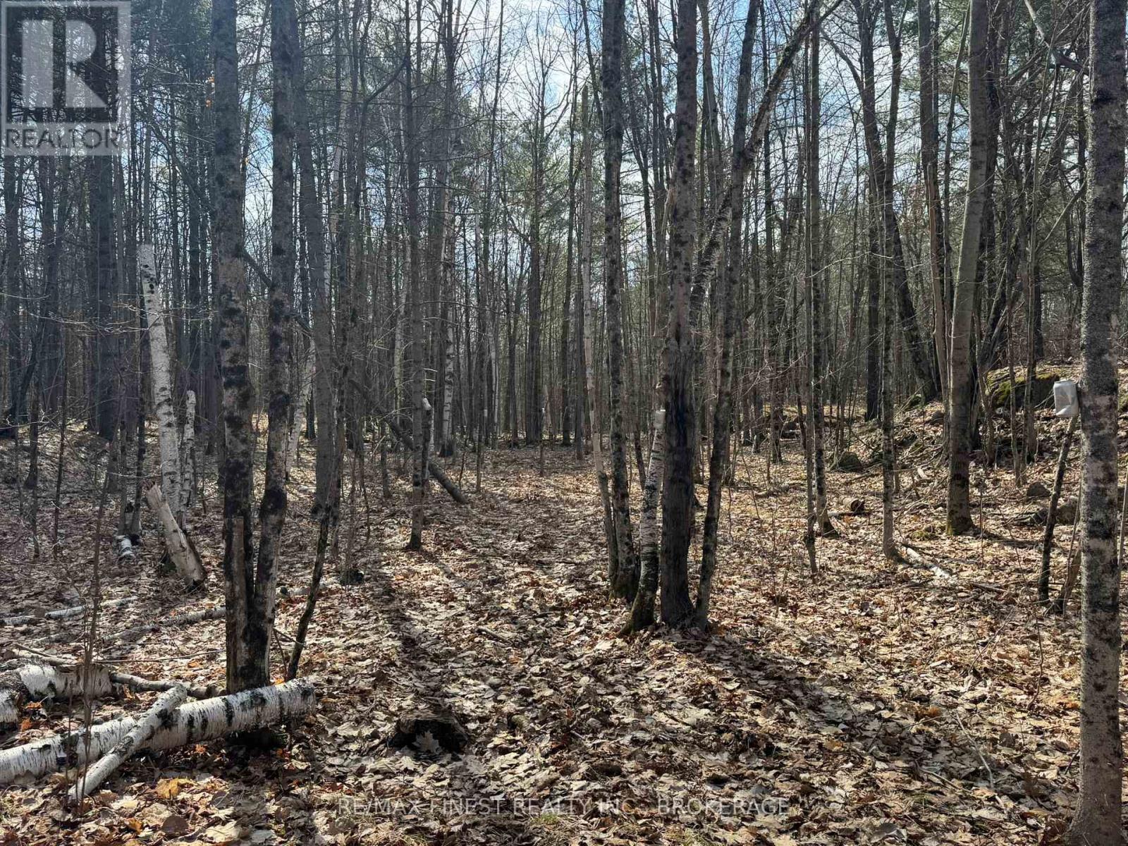 0 California Road, Stone Mills, Ontario  K0K 1Z0 - Photo 5 - X13034840