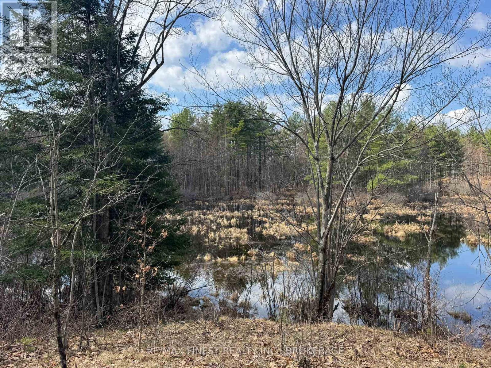 0 California Road, Stone Mills, Ontario  K0K 1Z0 - Photo 6 - X13034840