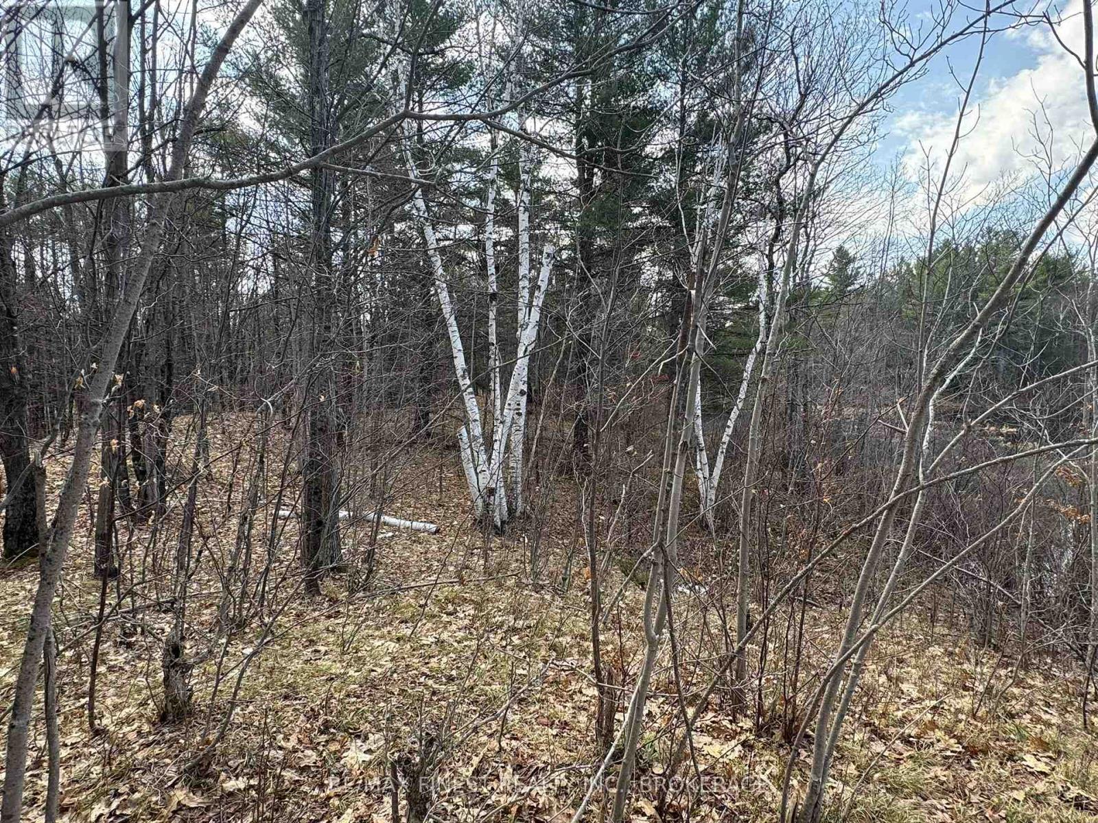 0 California Road, Stone Mills, Ontario  K0K 1Z0 - Photo 7 - X13034840