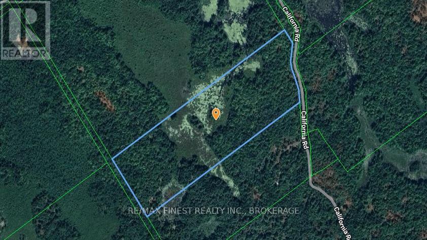 0 California Road, Stone Mills, Ontario  K0K 1Z0 - Photo 9 - X13034840