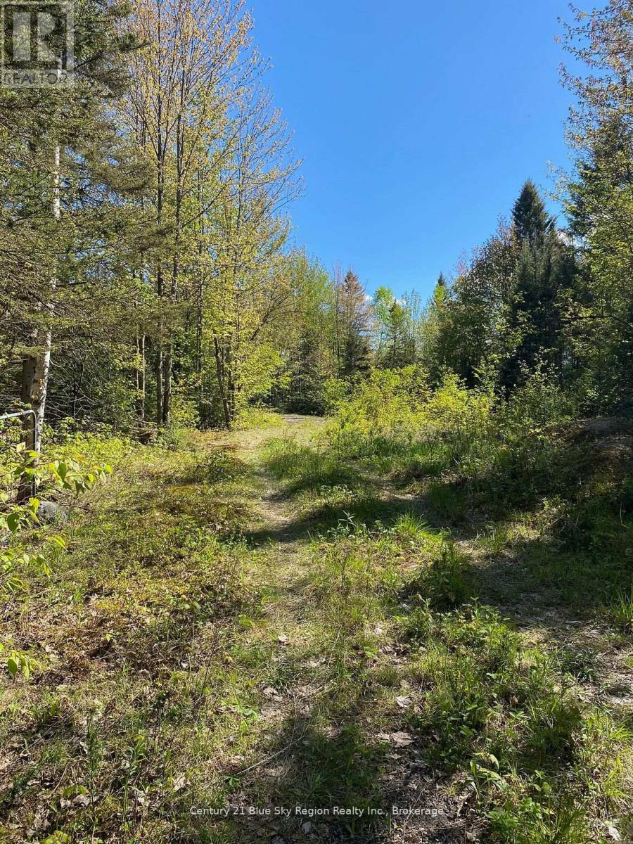 471 Weiler Line, Powassan, Ontario  P0H 2L0 - Photo 20 - X13034842