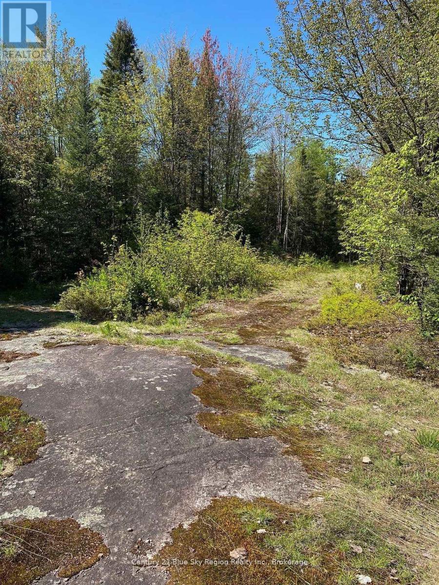471 Weiler Line, Powassan, Ontario  P0H 2L0 - Photo 21 - X13034842