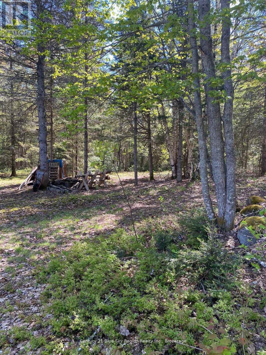 471 Weiler Line, Powassan, Ontario  P0H 2L0 - Photo 9 - X13034842