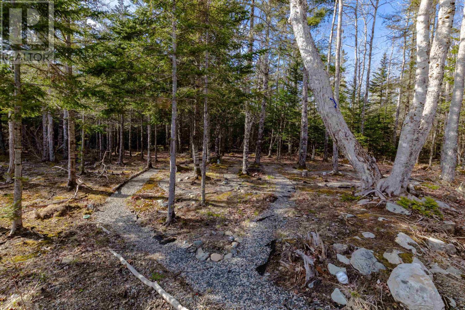 3389 Highway 340 Highway, Carleton, Nova Scotia  B5A 5P8 - Photo 44 - 202601740